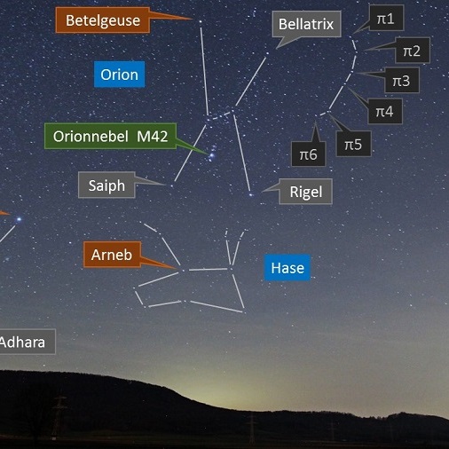 Orion